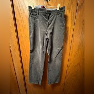 Gray Izod Pinwale Corduroys